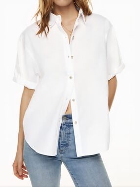 Aritzia DENIM FORUM Jane Button Down Shirt